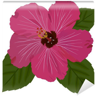 Hawaiian Hibiscus (400x400)