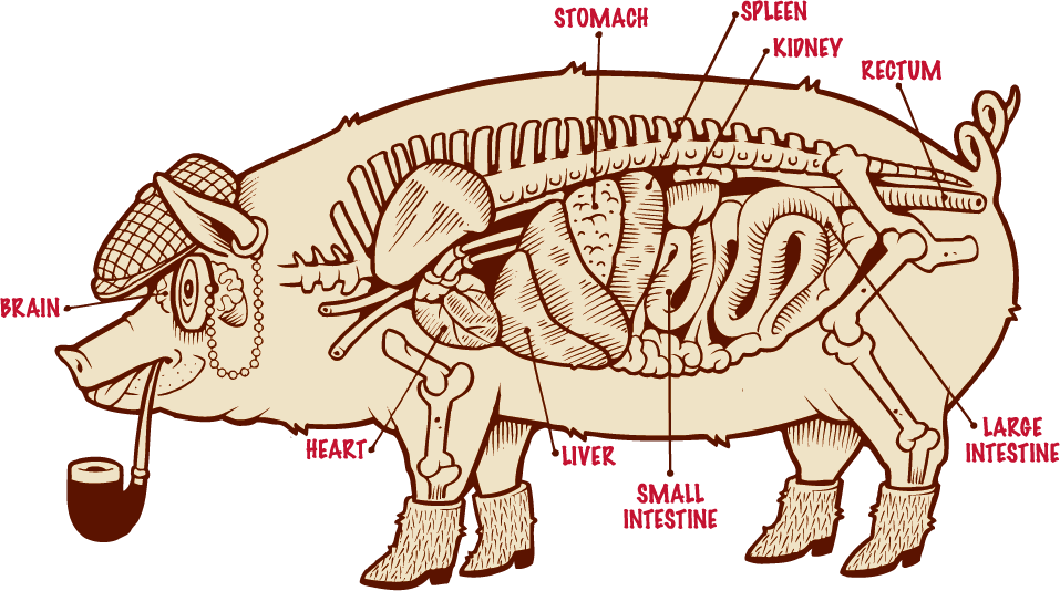 Pork 1 - Pork (957x534)