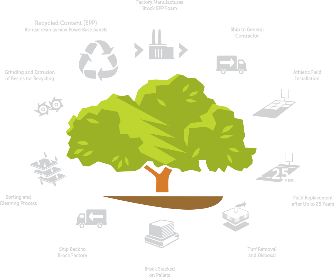 Product-cycle - Larch (1138x942)