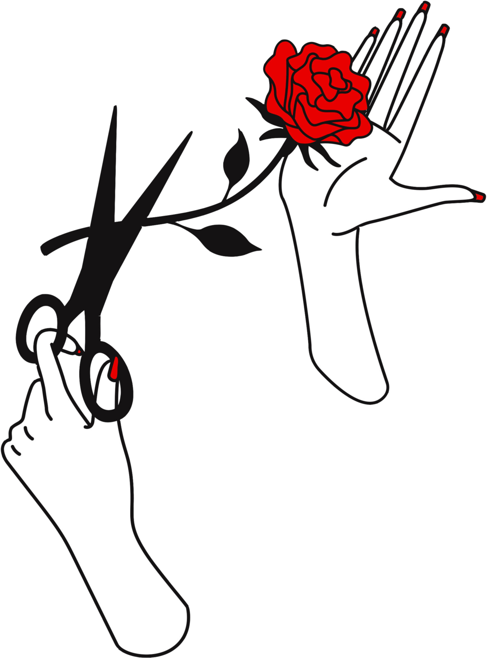 Hands - Portable Network Graphics (1000x1326)