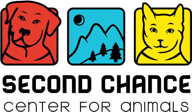 Scca Logo - Scca Logo (700x438)
