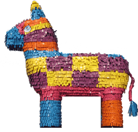 Llama (504x498)