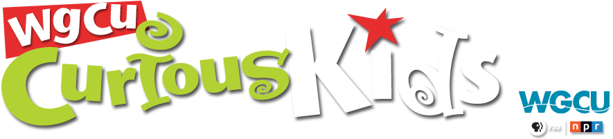 Logo - Logo (899x209)