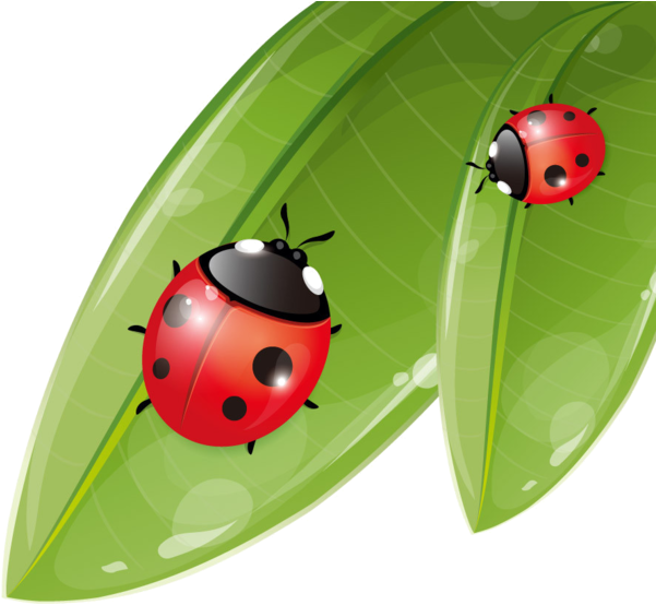 For Ladybug Mural - Vector Graphics (600x593)