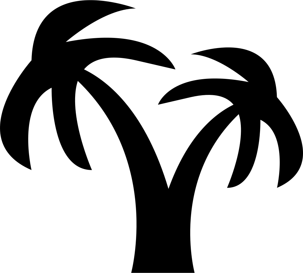 Coconut Tree Comments - Palmera (980x886)