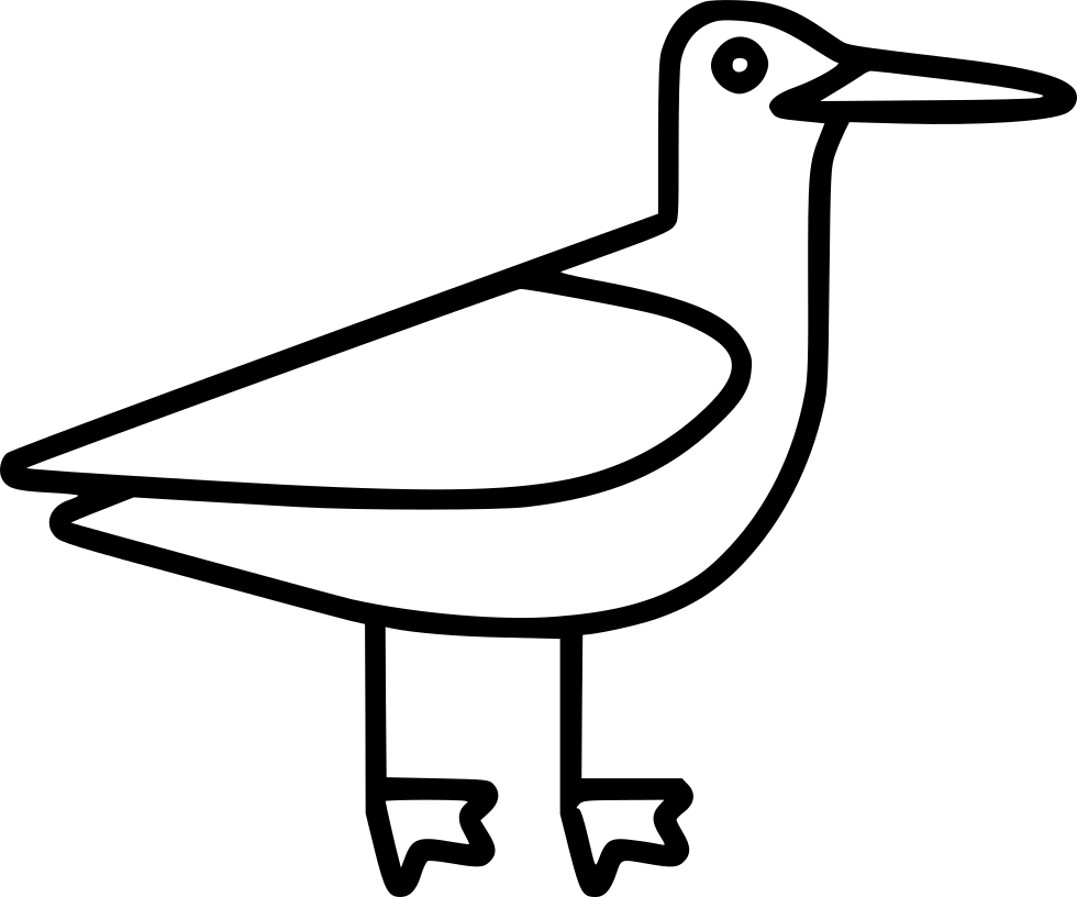 Seagull Comments - Gulls (980x816)