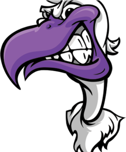 Seagull - Logo (600x500)