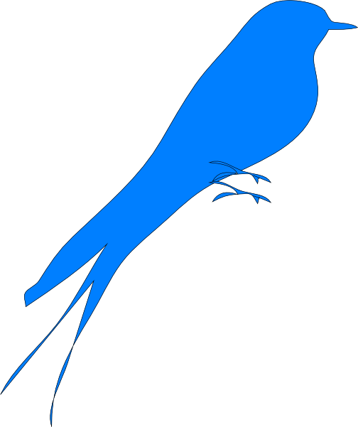Bird (504x601)