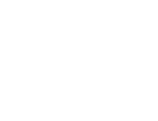 Icon (512x512)
