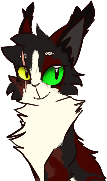 Robinblaze By Fireworksdawn - Warriors (600x768)