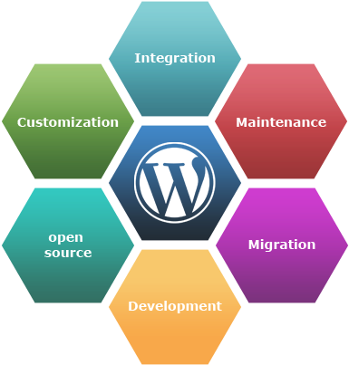 Wordpress Development Services - Wordpress 2016/17 Video Tutorial Training - Fundamental (400x410)