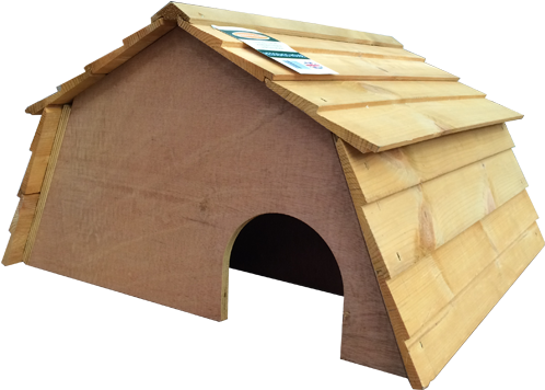 Roof (500x500)