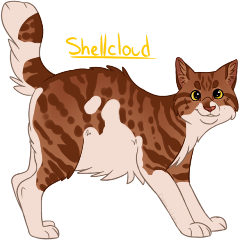 Shellcloud - Wren (500x500)