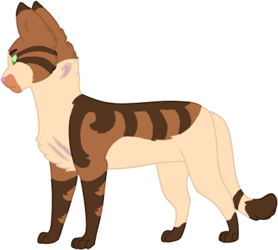 100 Warriors Challenge - Burro (434x381)