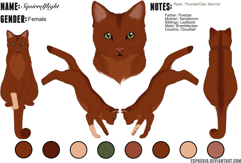 Squirrelflight Reference By Jeanzedlav - Squirrel Flight (1023x686)