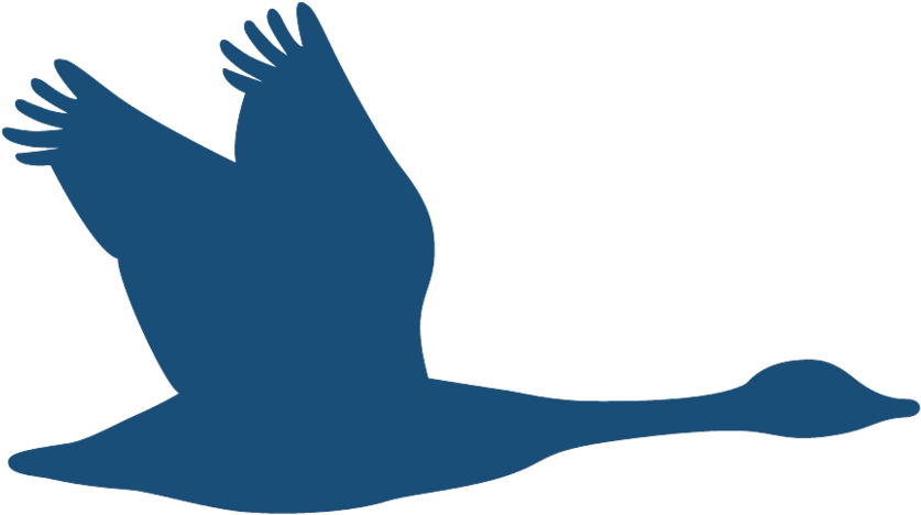 Geese Clip Art (1000x645)