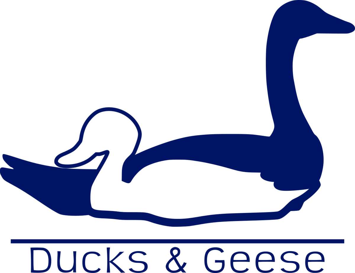 Goose (1200x924)