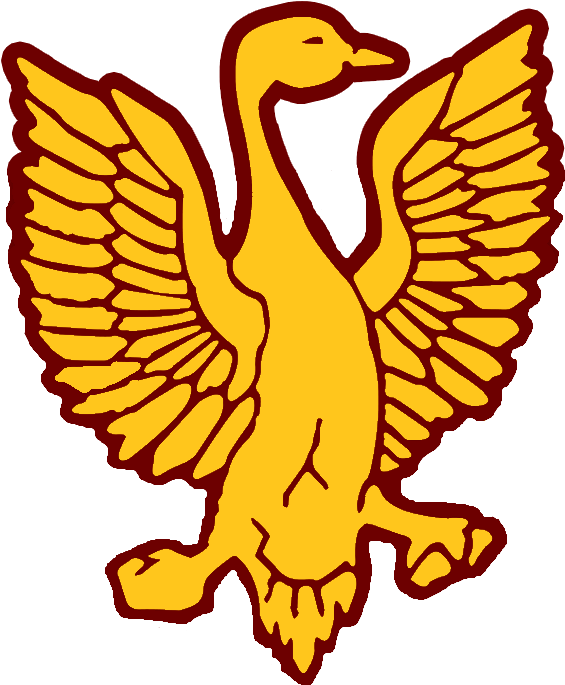 Fcc Goose Image - Duck (705x771)