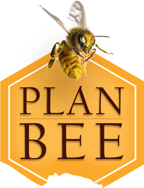 Bee - Bee And Brain Storming (480x618)