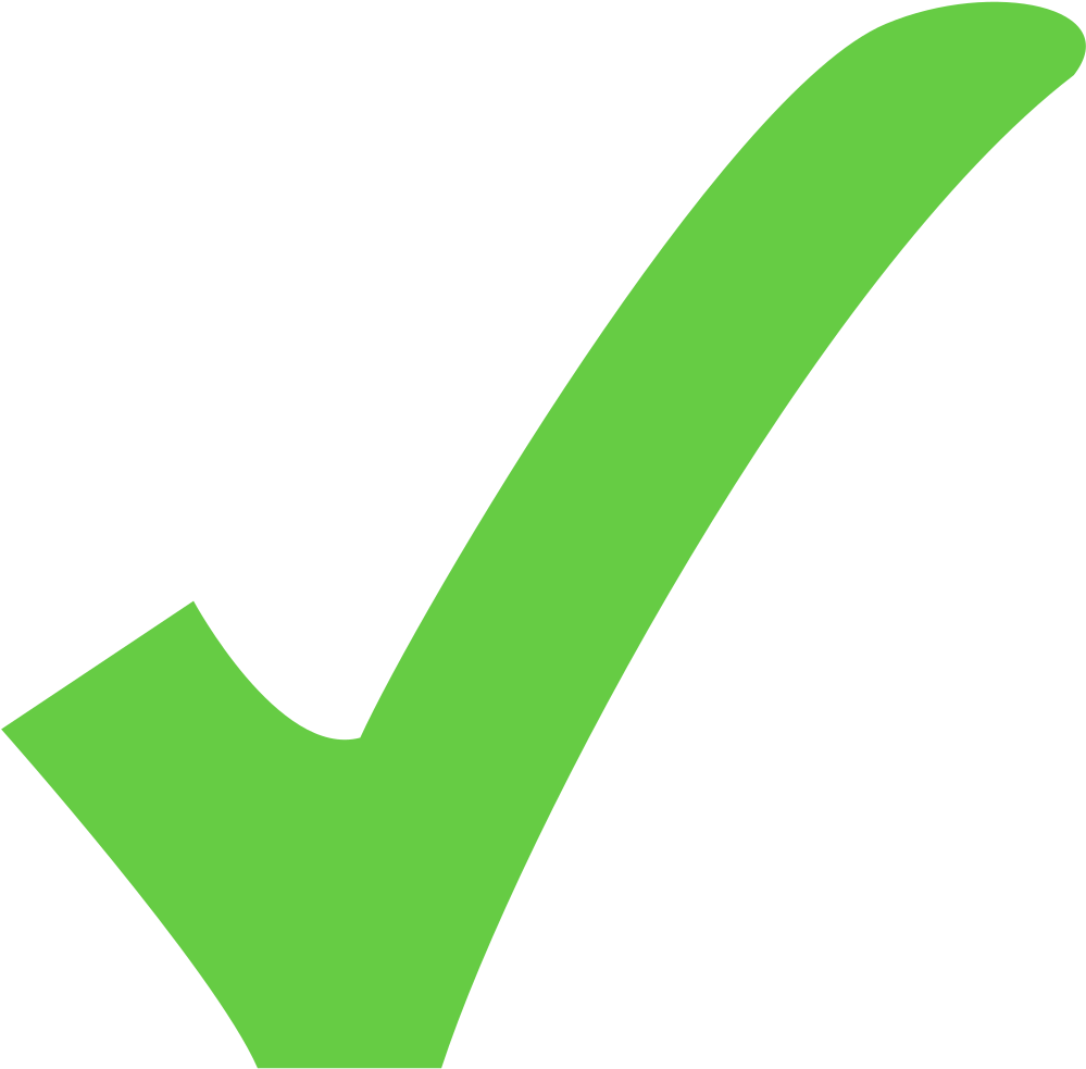 Light Green Check - Check Mark Transparent Background (1024x1024)