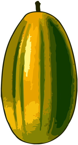 Melon Clipart Tree - Seed Tree (388x720)