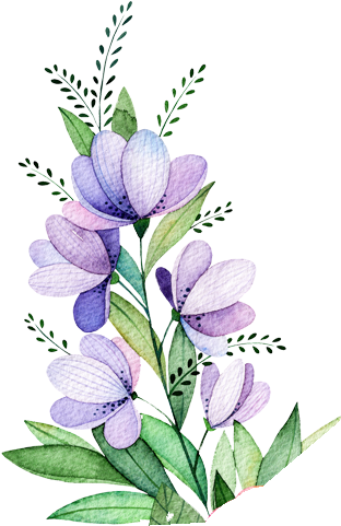 Final Design - English Lavender (1000x1000)