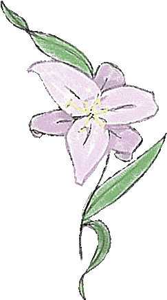 Lily (269x457)