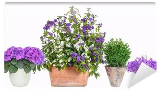 Flowerpot (400x400)