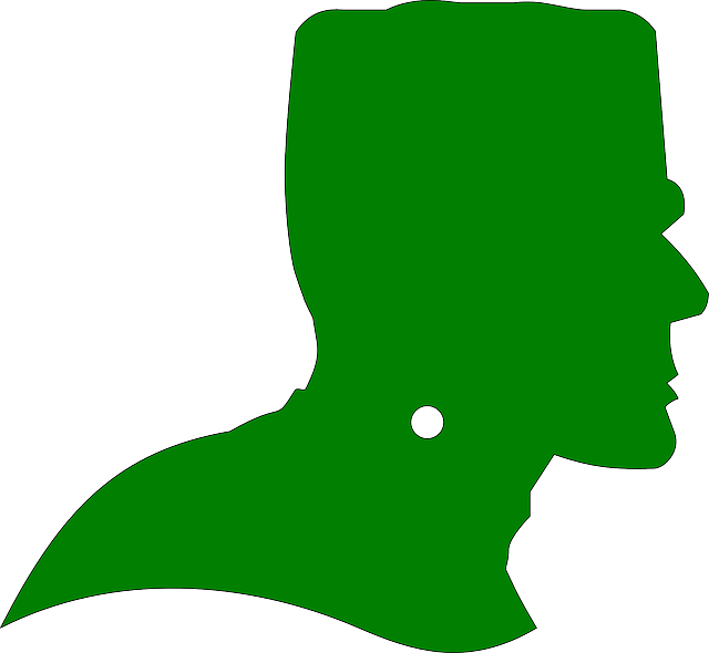 Frankenstein Profil (640x590)