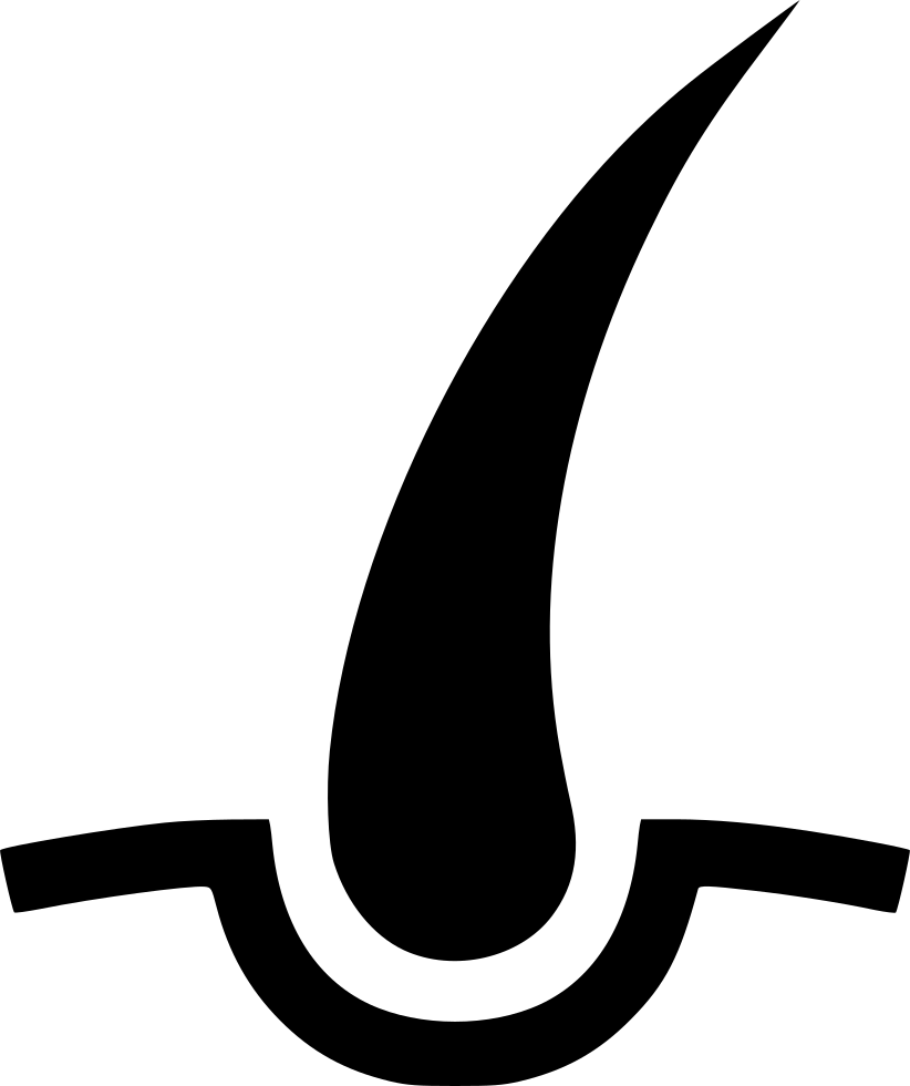 Hairs Shave Follicle Beauty Hair Bulb Comments - Hair (822x980)