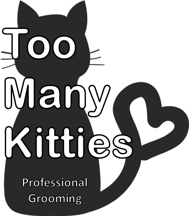 Kitten (640x731)
