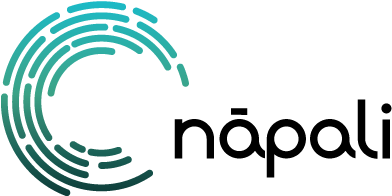 Napali Logo - Graphic Design (500x294)