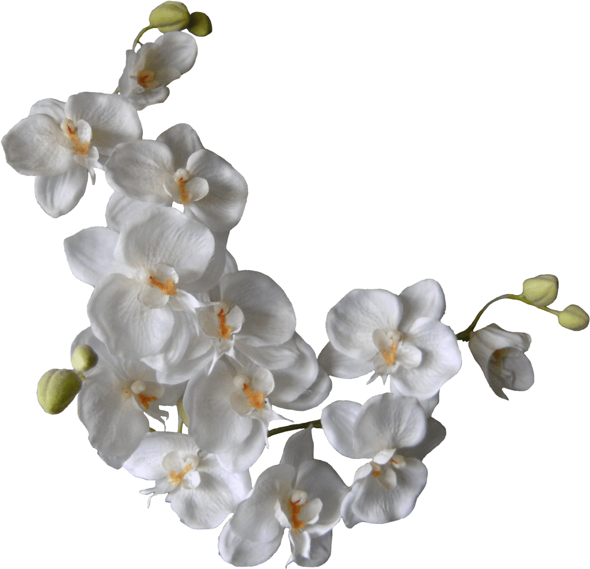 Artificial Flower (1600x1200)