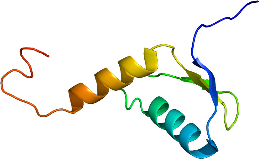 Protein Data Bank (887x564)