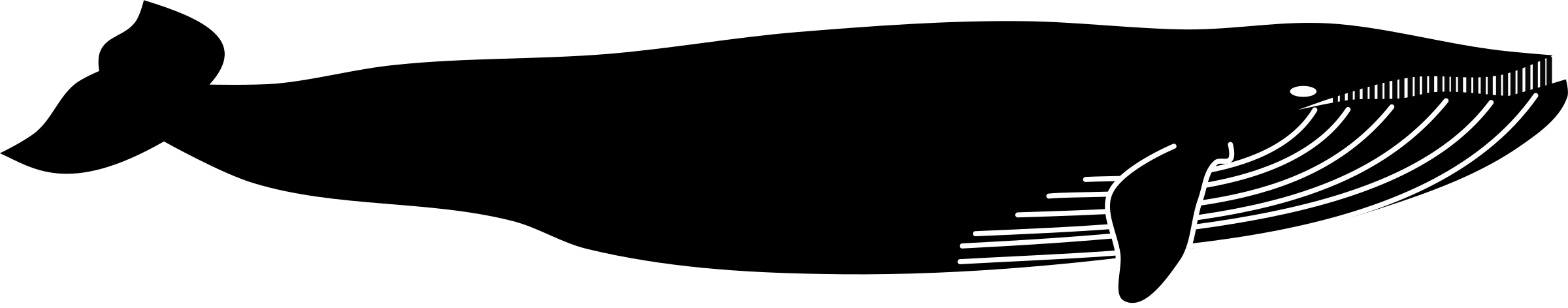 Big Image - Icon (2400x472)