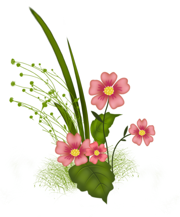 Chinese Hibiscus (600x757)