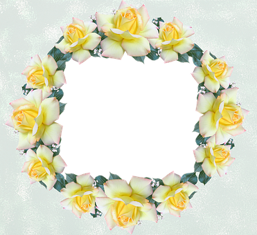Frame, Border, Rose, Flower - Photograph (371x340)