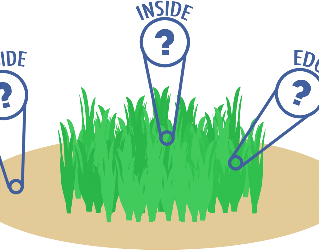 Edge Effects Seagrass (1024x1024)