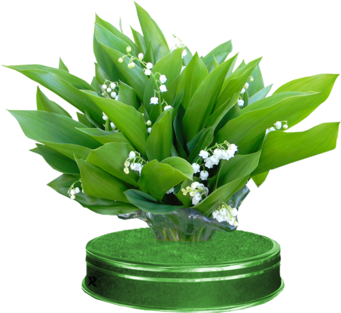 Partager - - Muguet (700x700)