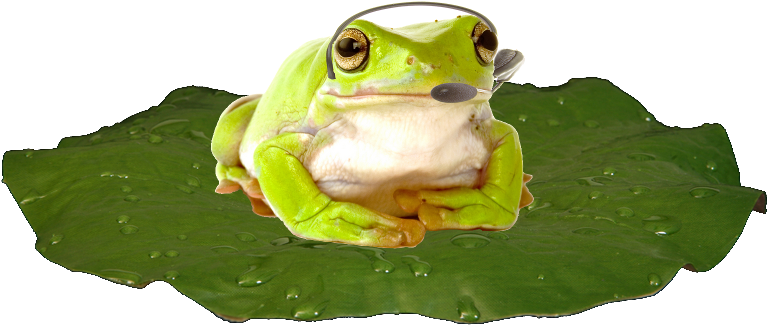 Mail - - Frog (781x338)