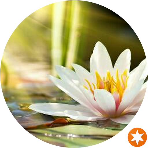 Whiat Starfish Flower (512x512)