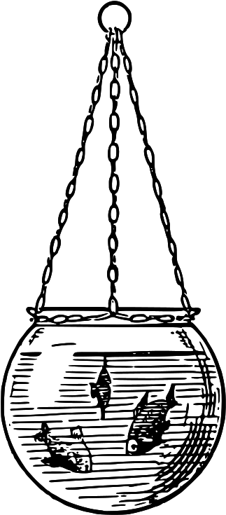 Medium Image - Color (388x800)