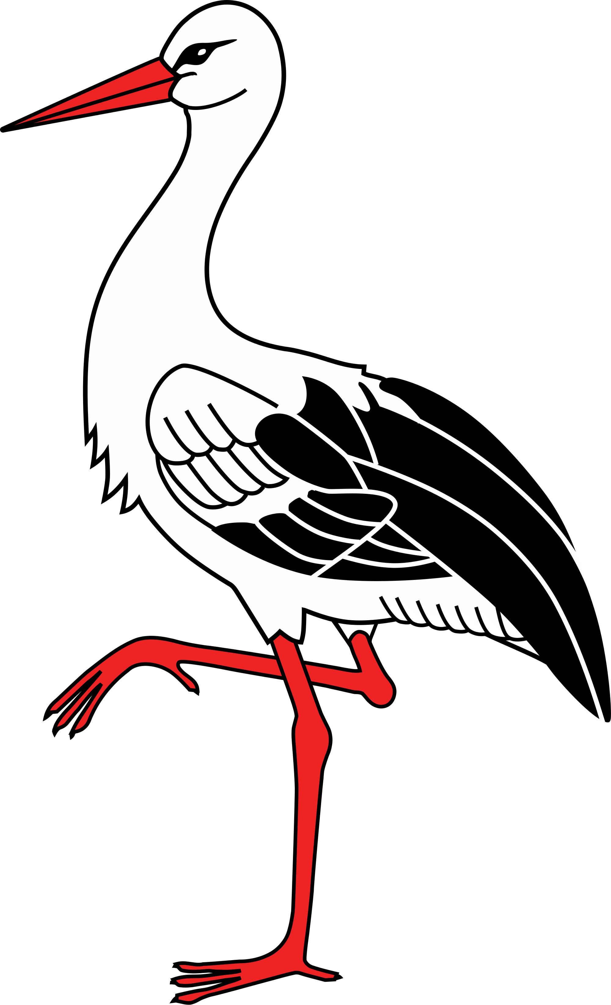 Open - Cigogne Clipart (2000x3291)