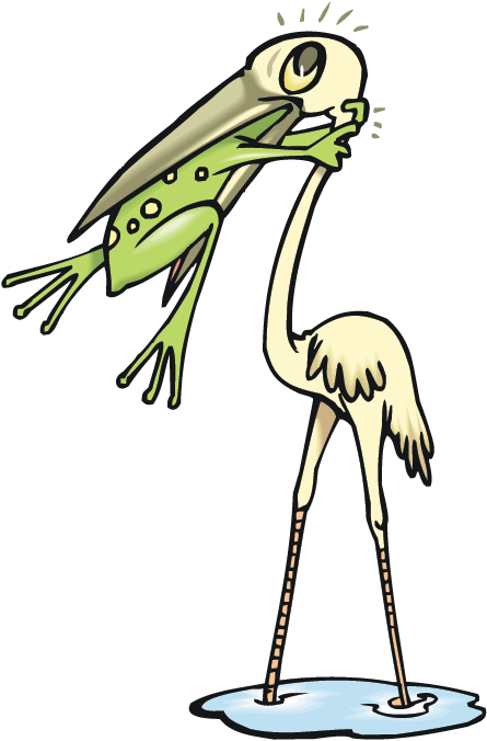 Bird With Frog - Never Give Up Frog (445x676)