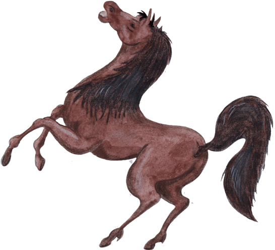 Cheval - Clip Art (553x500)