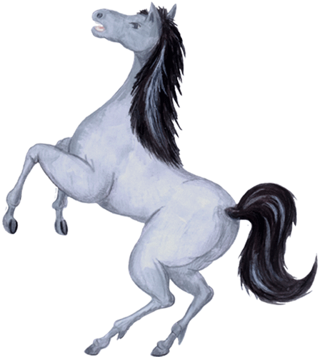Cheval - Clip Art (448x500)
