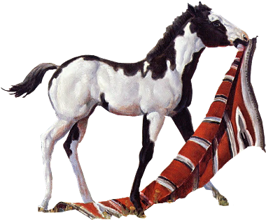Cheval Pie - Horse (387x322)