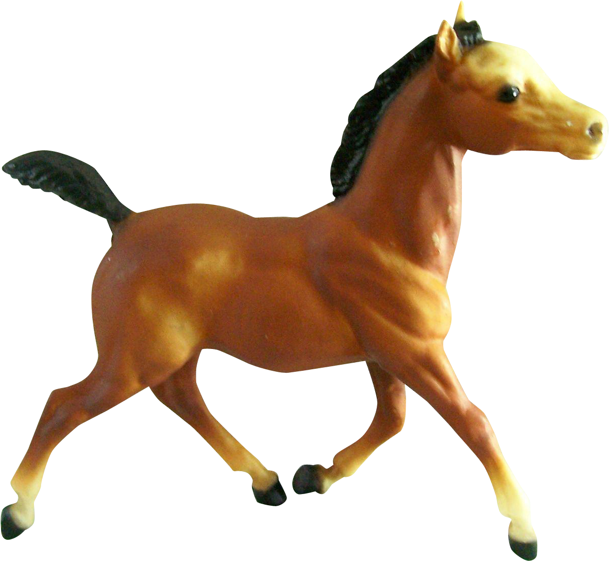 Horse (1200x1200)