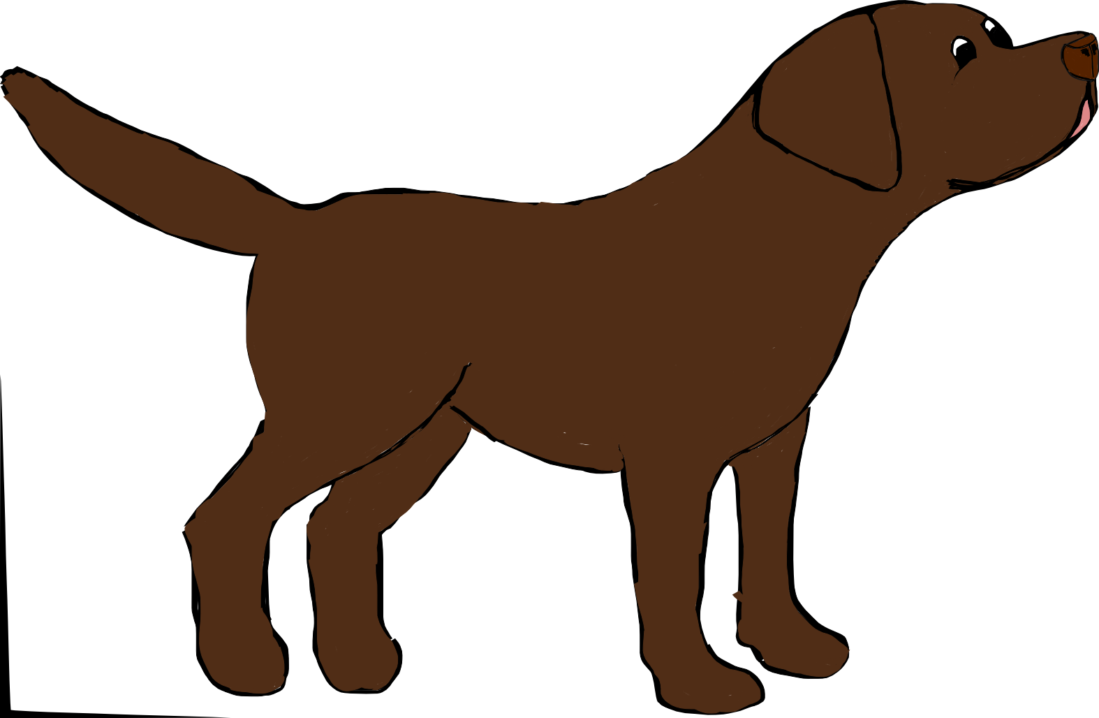 Chocolate Lab Cartoon (1574x1028)