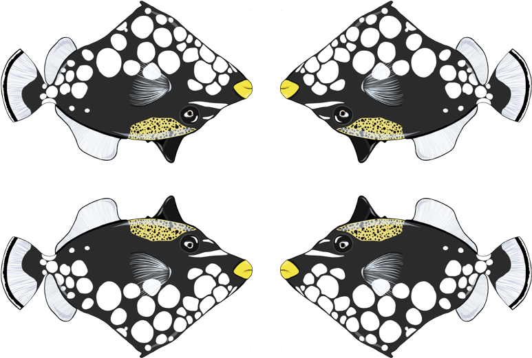 Clip Art (800x598)